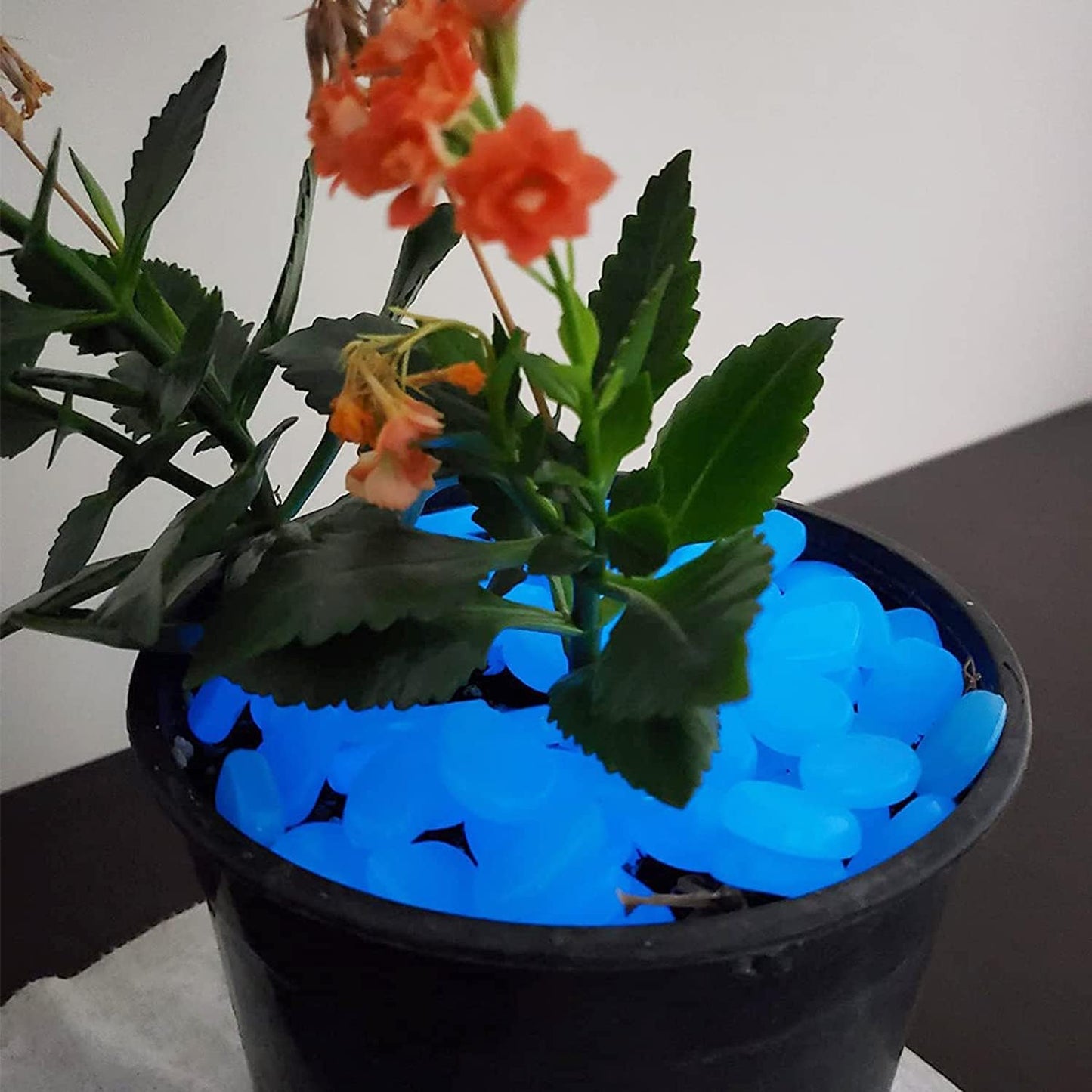 Glow Rocks