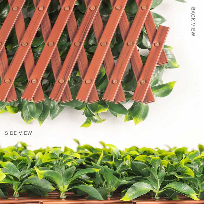 Expandable Privacy 72-In W X 36-In H Artificial Gardenia Leaf Garden Trellis