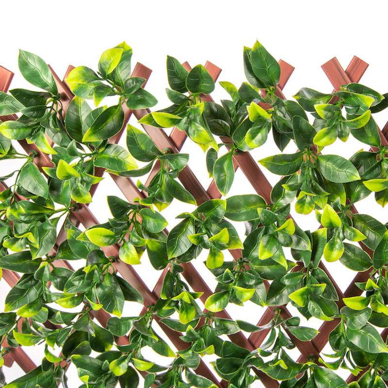 Expandable Privacy 72-In W X 36-In H Artificial Gardenia Leaf Garden Trellis