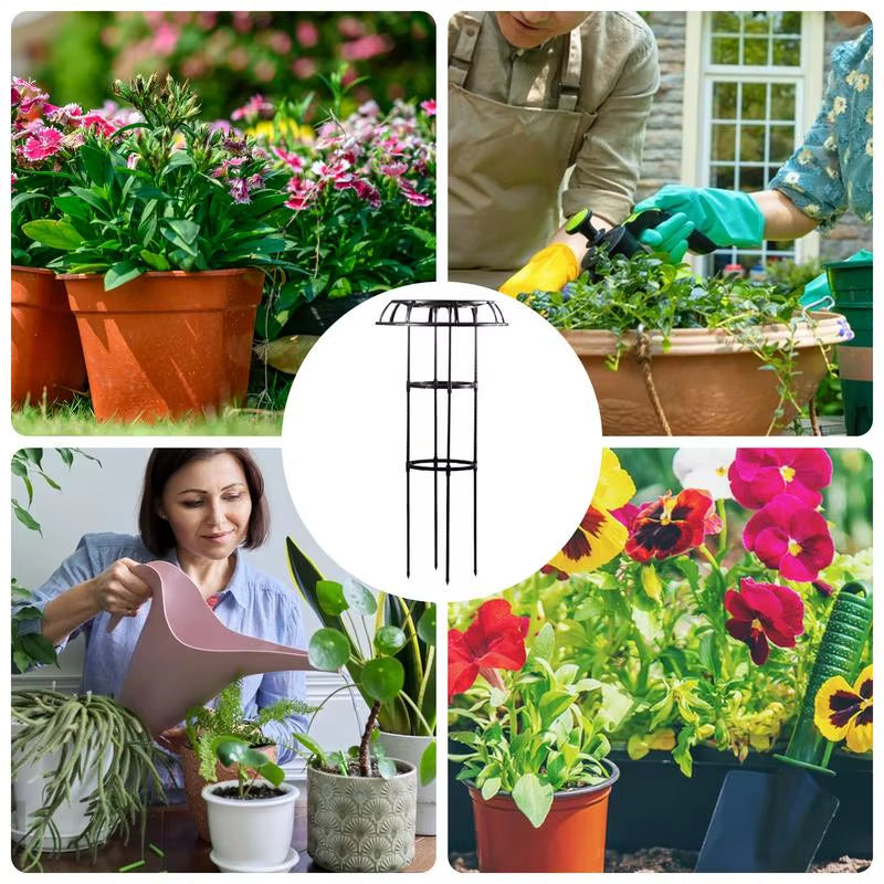 Flower Trellis for Climbing Plants Raspberry Trellis Umbrella-Shaped Rose Bush Trellis Tall Plant Support Free Standing Garden