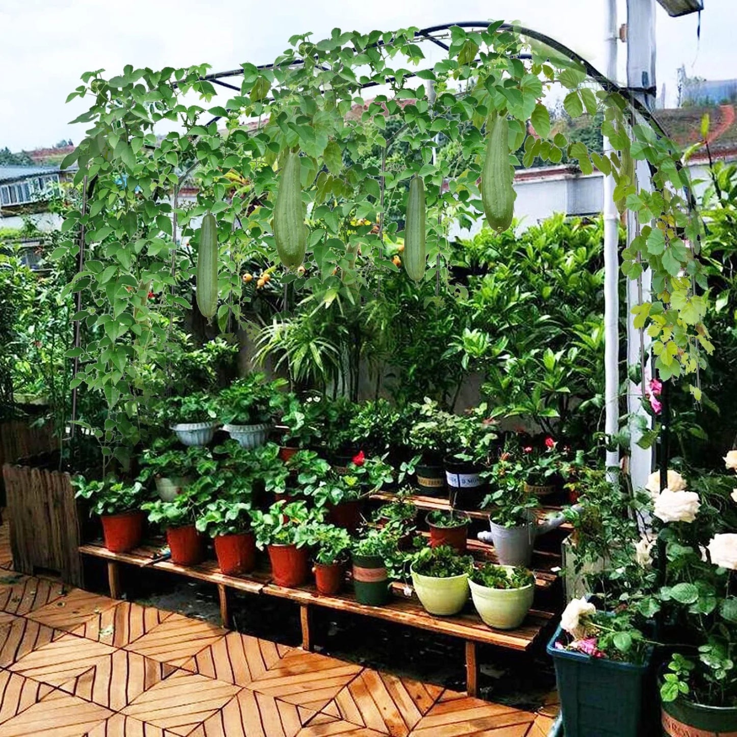Garden Arch Metal Garden Arbor Arch Trellis for Various Climbing Plant 7.87×4.59×1.25FT Indoor Archway Wedding Party Brithday Outdoor Walkway Garden Lawn Black