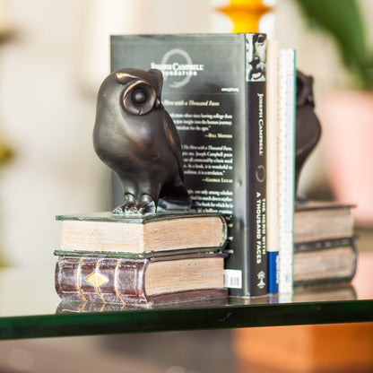 . Owl on Books Bookend Set