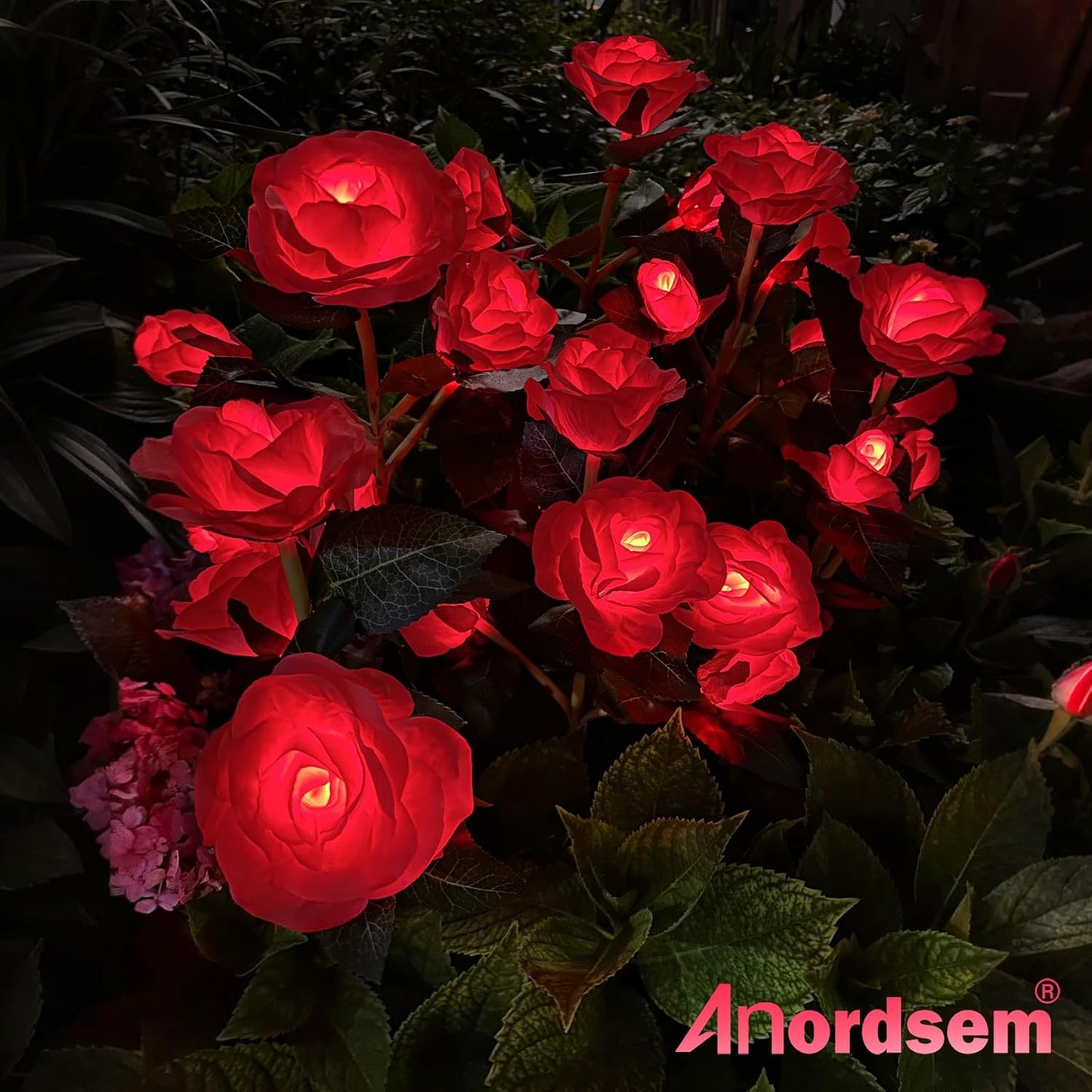 Solar Lights Outdoor Waterproof: Garden Light Solar Powered for Yard Decorative - Red Flower Lamp LED Lighting Patio Cemetery Gave Decor - Rose Gardening Gifts for Women Mom Wife