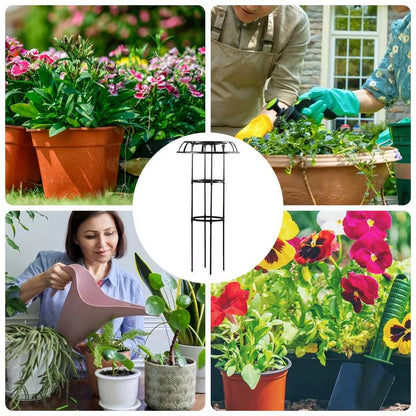 Flower Trellis for Climbing Plants Raspberry Trellis Umbrella-Shaped Rose Bush Trellis Tall Plant Support Free Standing Garden