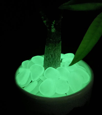 Glow in the Dark Garden Pebbles, Christmas Glow in the Dark Rocks Outdoor,Luminous Pebbles Glow Stones Outdoor for Landscape,Vase Planter, Fish Tanks, DIY Decorative Stones (White Turn Green 200PCS)